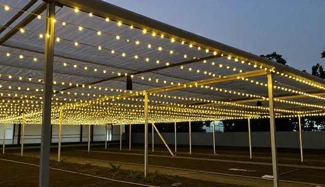凡科建站登录适用情况与限制解析