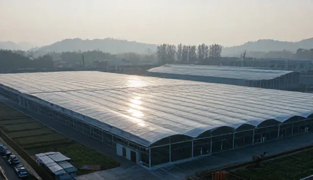 外包服务中技术支持的节点可查问题解析